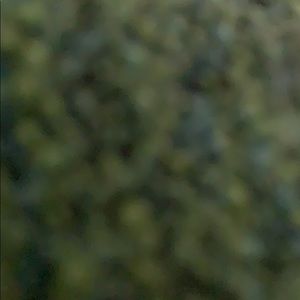 Meet your Posher, Susana